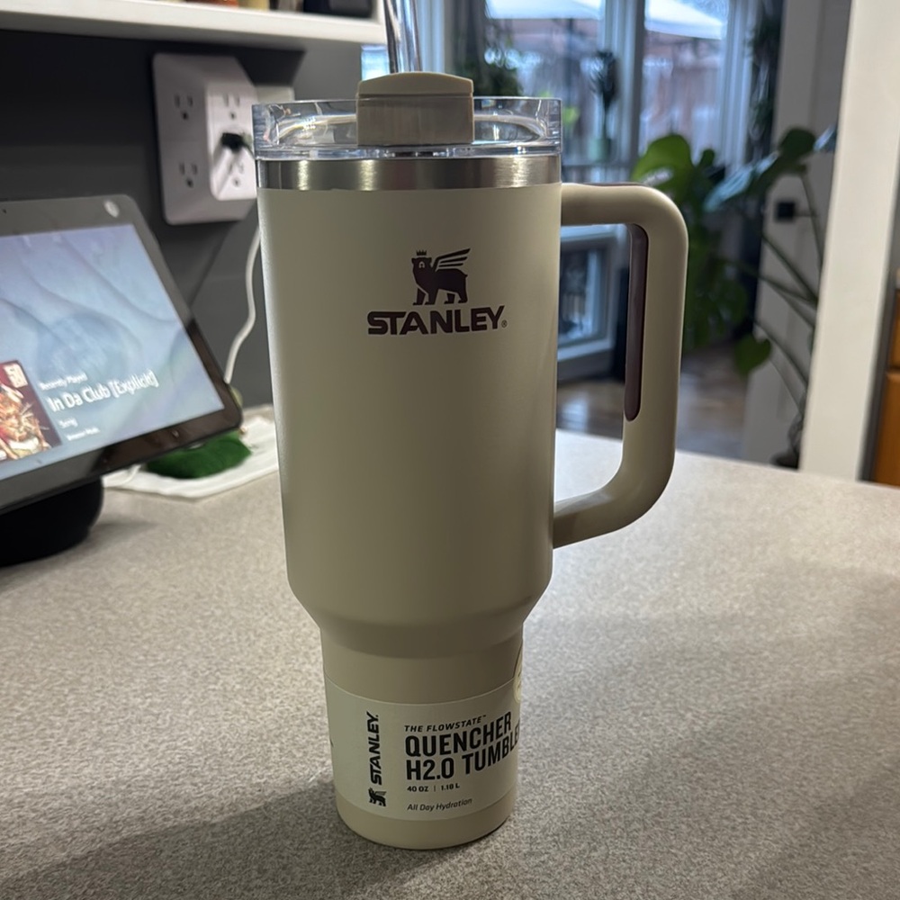 Limited Edition Stanley Insulated Water Bottle